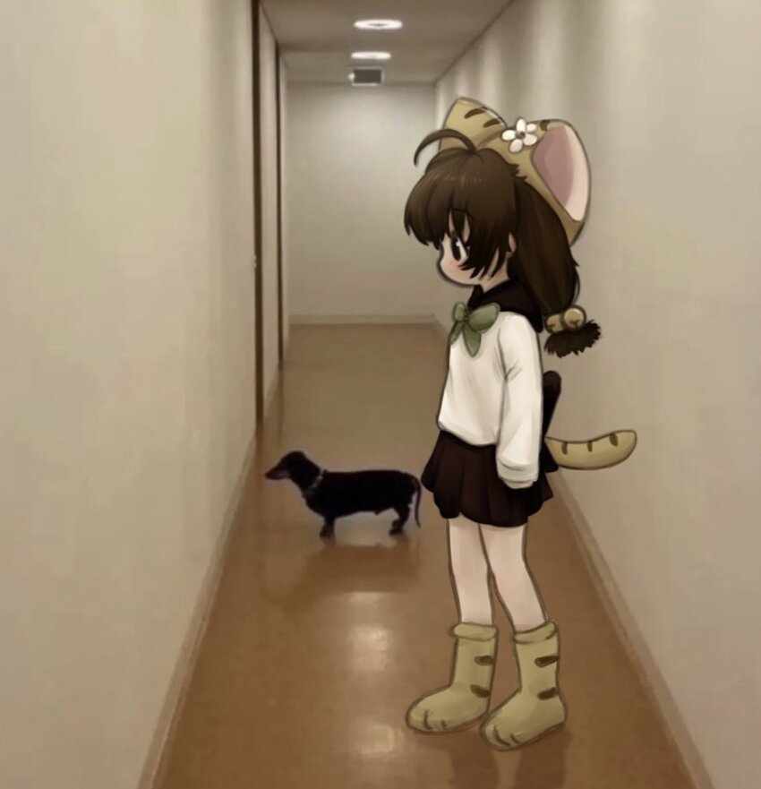 1girl ahoge animal_ears animal_hat arms_at_sides bell black_dog black_sailor_collar black_skirt blush bow bowtie brown_footwear brown_hair brown_hat cat_ears cat_hat cat_tail ceiling_light dachshund di_gi_charat dog fake_animal_ears flower from_side full_body green_bow green_bowtie hair_bell hair_ornament hallway hat hat_flower highres indoors jingle_bell looking_ahead medium_hair paw_shoes photo_background pleated_skirt puchiko sailor_collar school_uniform serafuku shirt skirt sleeves_past_wrists standing striped_clothes striped_footwear striped_hat striped_tail tail twintails white_flower white_shirt wooden_floor zoolpal
