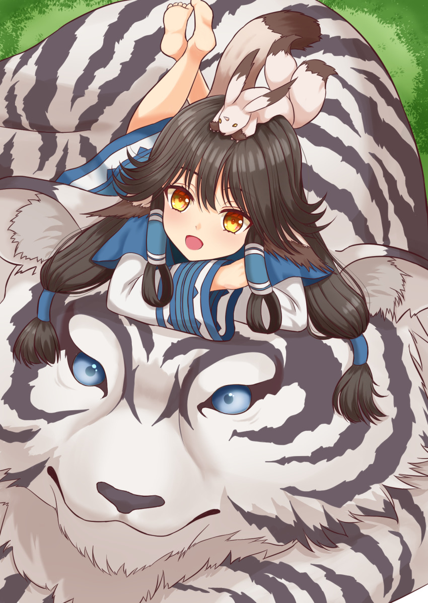 1girl aged_up ainu_clothes animal animal_ears animal_on_head aquaplus aruruu bare_legs barefoot black_hair blue_eyes blush dress eyelashes feet from_above full_body fur gachatara gradient_eyes grass hair_between_eyes highres inariko layered_sleeves long_hair long_sleeves looking_at_viewer low-tied_long_hair lying mukkuru multicolored_eyes on_head open_mouth orange_eyes outdoors raised_eyebrows sidelocks tiger tiger_ears tongue twintails utawarerumono utawarerumono:_itsuwari_no_kamen very_long_hair wide_sleeves yellow_eyes