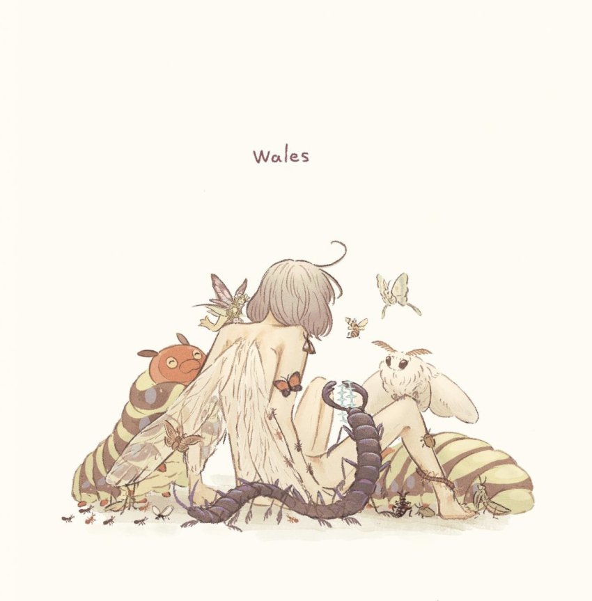 1boy ahoge ant bug caterpillar english_text fate/grand_order fate_(series) from_behind giant_insect grey_hair highres insect male_focus medium_hair millipede moth nude oberon_(fate) oberon_(third_ascension)_(fate) praying_mantis simple_background sitting solo spoilers wings yudeta_(toukibi_umai)