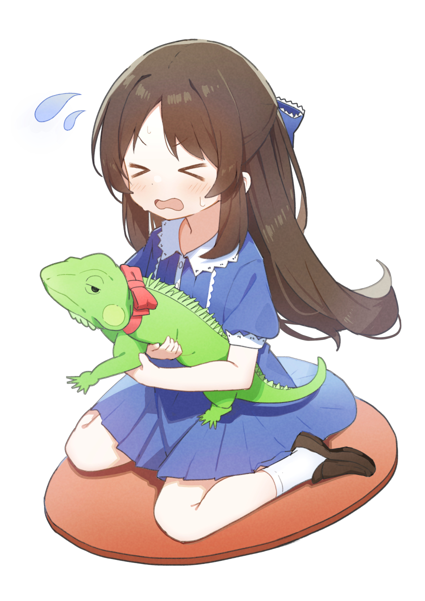 &gt;_&lt; 1girl absurdres animal blue_bow blue_dress blush bow brown_hair brown_shoes closed_eyes collar commentary_request dot_nose dress flying_sweatdrops hair_bow highres holding holding_animal hyou-kun idolmaster idolmaster_cinderella_girls idolmaster_cinderella_girls_u149 iguana legs long_hair open_mouth puffy_short_sleeves puffy_sleeves red_bow rinki_oohen scared shoes short_sleeves sidelocks sitting socks solo sweat tachibana_arisu v-shaped_eyebrows wariza wavy_mouth white_background white_collar white_socks