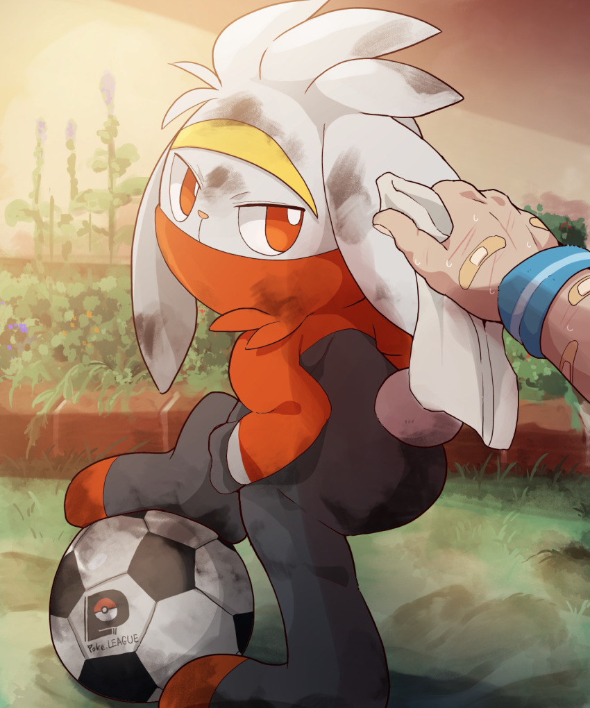 animal_ears ball bandaid dagasi dirty dirty_face furry gen_8_pokemon highres looking_at_viewer nintendo plant poke_ball_symbol pokemon pokemon_(creature) pov rabbit_ears rabbit_tail raboot smile soccer_ball solo_focus tail towel wiping wristband