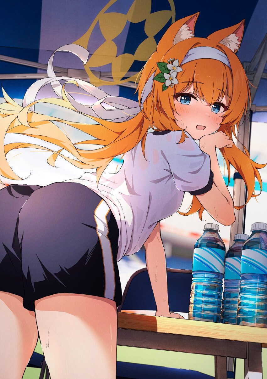 1girl absurdres animal_ear_fluff animal_ears ass black_shorts blonde_hair blue_archive blue_eyes blush cat_ears cat_girl commentary day film_grain floating_hair from_behind gym_shirt gym_shorts gym_uniform hair_between_eyes hair_ribbon halo hand_up highres leaning_forward long_hair looking_at_viewer looking_back low_ponytail mari_(blue_archive) mari_(track)_(blue_archive) moru_(moru20000) official_alternate_costume official_alternate_hairstyle open_mouth orange_hair outdoors ponytail ribbon shirt shorts sidelocks solo sweat very_long_hair white_ribbon white_shirt yellow_halo