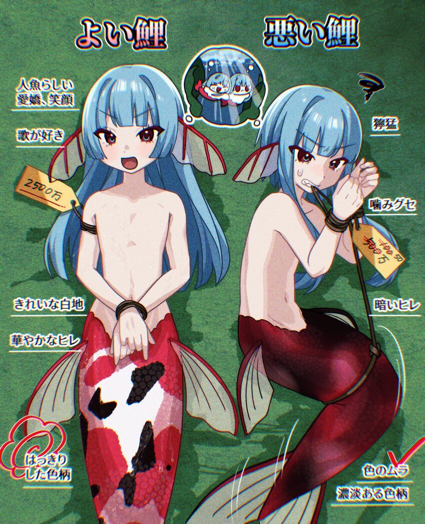 2boys bdsm biting blue_hair bondage bound chibi commentary commentary_request fins head_fins highres long_hair manekinekoko777 merman monster_boy multicolored_eyes multiple_boys navel nude open_mouth price_tag speech_bubble spiral swimming thought_bubble translation_request two-tone_eyes