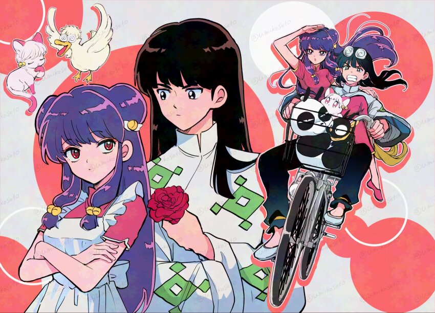 bandana bicycle bicycle_basket bird breasts cat double_bun duck flower glasses hair_bun highres mousse_(ranma_1/2) p-chan pig polka_dot polka_dot_background purple_hair ranma_1/2 red_flower red_rose riding riding_bicycle rose saotome_genma_(panda) shampoo_(ranma_1/2) umikoseto02 yellow_bandana