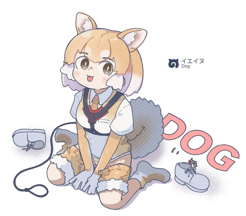 1girl animal_ears brown_eyes brown_hair cardigan dog_(shiba_inu)_(kemono_friends) dog_ears dog_girl dog_tail elbow_gloves extra_ears gloves grey_hair highres japari_symbol kemono_friends looking_at_viewer multicolored_hair necktie panties shirt shoes short_hair shorts simple_background sitting socks solo sorairo_meronpan tail tongue tongue_out two-tone_hair underwear