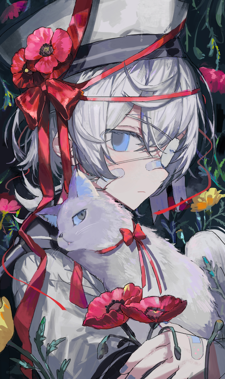1boy absurdres animal bandaid bandaid_on_cheek bandaid_on_face bandaid_on_hand bandaid_on_nose blue_eyes blue_nails blush bow cat closed_mouth commentary_request empty_eyes floral_background flower hair_between_eyes hat hat_bow hat_flower highres holding holding_animal holding_cat holding_flower looking_at_viewer male_focus nana_tetra one_eye_covered original poppy_(flower) portrait red_bow red_ribbon ribbon sailor_collar sailor_hat sailor_shirt shirt short_hair solo white_cat white_hair