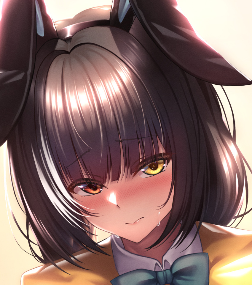 1girl animal_ears blue_bow blue_bowtie blush bow bowtie brown_hair close-up embarrassed fake_animal_ears girls&#039;_frontline girls&#039;_frontline_2:_exilium heterochromia highres long_hair looking_at_viewer multicolored_hair nervous rabbit_ears red_eyes ro635_(girls&#039;_frontline) robella_(girls&#039;_frontline_2) solo streaked_hair two-tone_hair very_long_hair white_hair xlscaler yellow_eyes