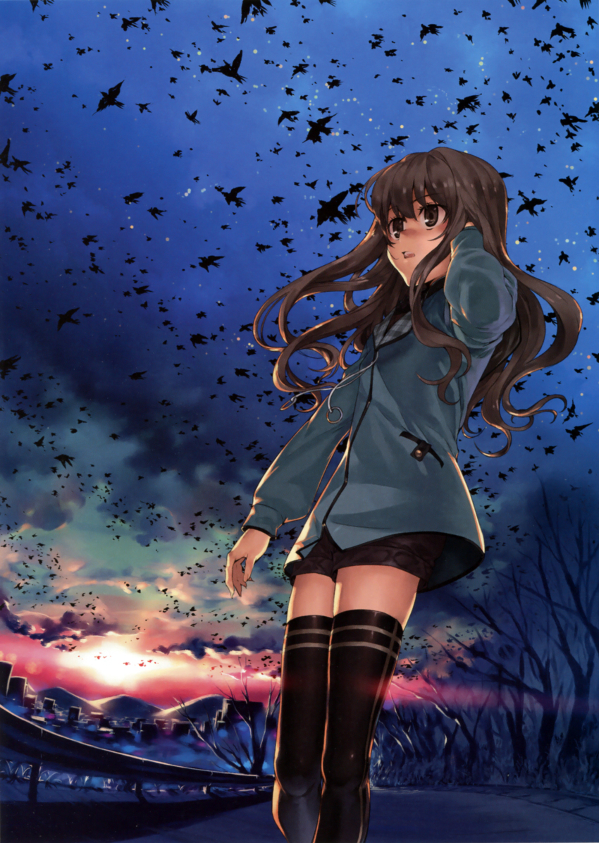 1girl absurdres bird black_thighhighs brown_eyes brown_hair female_focus highres hood hoodie kumari_kojika long_hair mahou_tsukai_no_yoru open_mouth perspective scan shinjirou shorts sky solo thighhighs