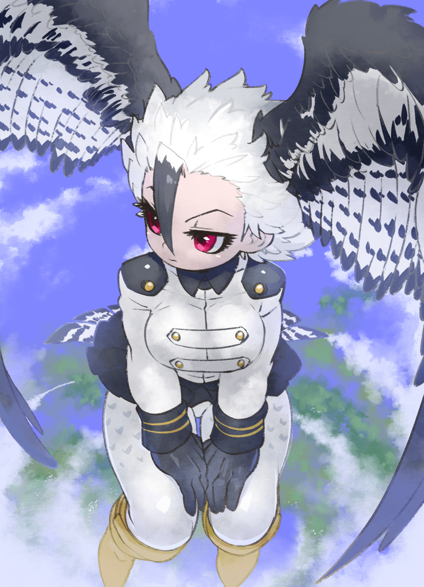 1girl bird_girl bird_tail bird_wings black_hair boots feathered_wings full_body gloves harpy_eagle_(kemono_friends) head_wings highres jacket kemono_friends kuro_(kurojill) multicolored_hair outdoors pantyhose red_eyes short_hair simple_background skirt solo tail two-tone_hair white_hair wings