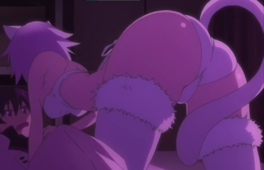 1boy 1girl animal_ears ass bra cat_ears cat_tail from_behind fur_trim highres huge_ass infinite_stratos orimura_ichika panties sarashiki_tatenashi short_hair straddling tail thighhighs third-party_edit underwear white_panties