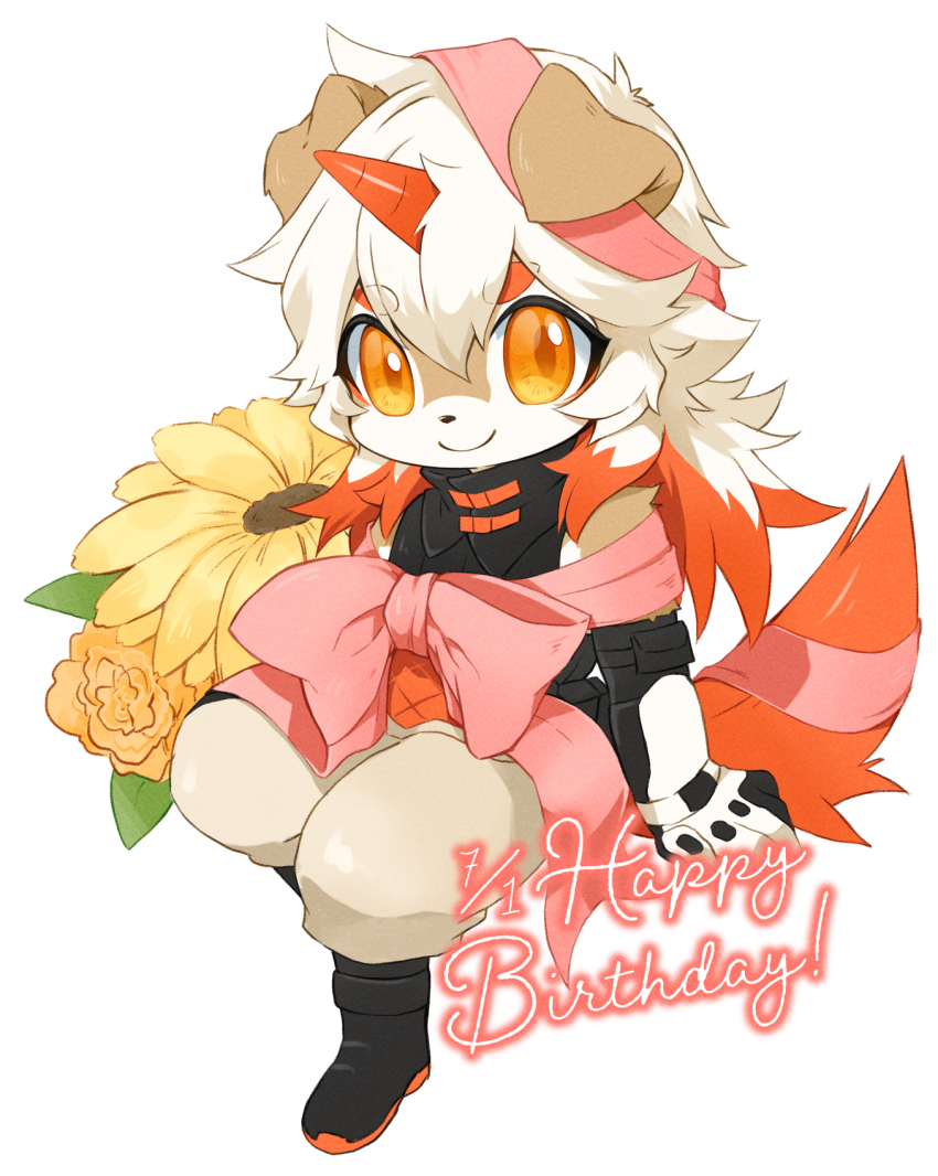 1boy arknights black_boots black_shirt boots chibi closed_mouth colored_tips commentary_request dated flower furry furry_male happy_birthday highres horns hung_(arknights) komainu_boy komainu_ears komainu_tail looking_at_viewer male_focus multicolored_hair pants pink_ribbon ribbon shimauma_(zebra_vz) shirt single_horn sitting sleeveless sleeveless_shirt smile white_background white_pants