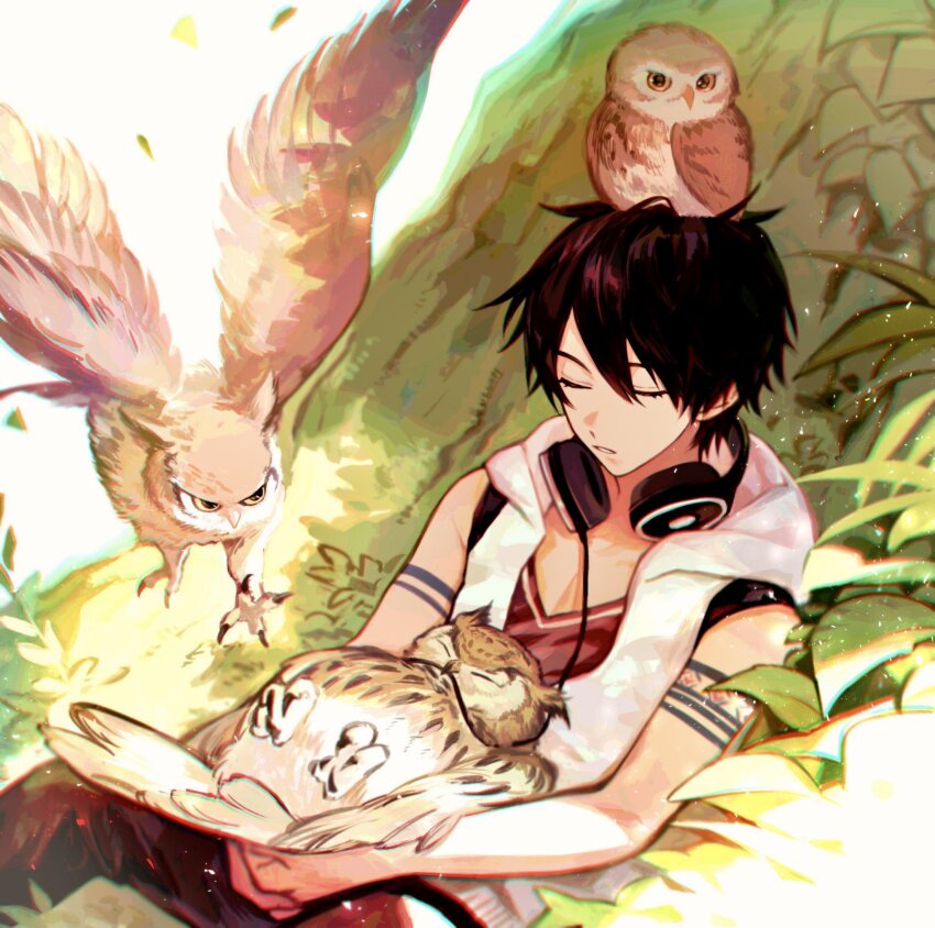 1boy animal animal_on_head arm_tattoo bird bird_on_head bird_on_lap black_hair hair_between_eyes headphones headphones_around_neck highres hood hoodie iv_4t nijisanji on_head owl pants red_pants red_shirt shirt short_hair sleeping sleeveless sleeveless_hoodie sleeveless_jacket solo tattoo virtual_youtuber white_hoodie yumeoi_kakeru yumeoi_kakeru_(1st_costume)
