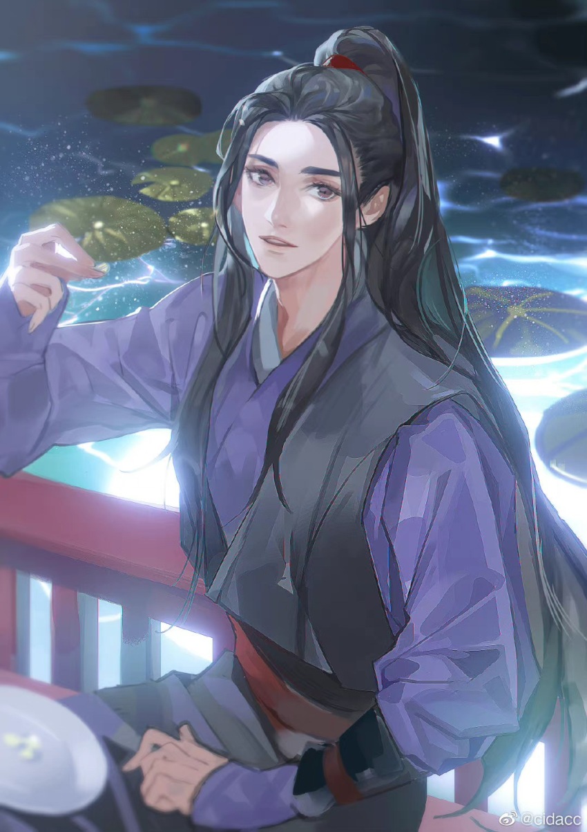 1boy backlighting black_hair black_sash blurry blurry_foreground bridge brown_eyes chinese_clothes chinese_commentary depth_of_field half_updo hand_on_lap hanfu high_ponytail highres long_hair long_sleeves looking_at_viewer lotus_leaf male_focus modao_zushi nourfeiar open_mouth plate ponytail purple_hanfu sash sitting solo water watermark wei_wuxian weibo_watermark