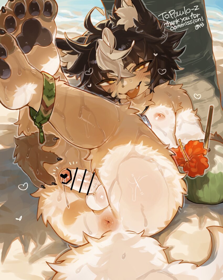 1boy anklet anus aya_(arioriak) beach borrowed_character brown_hair coconut coconut_cup colored_bangs commission erection fang flipped_hair furry furry_male grey_fur grey_tail heart highres holding jewelry legs_together legs_up looking_at_viewer lying multicolored_hair necklace nipples nude ocean on_back original outdoors palm_tree paulo_(paulo_z) pawpads pendant penis precum skeb_commission solo sweat sweatdrop testicles tongue tongue_out tree two-tone_fur two-tone_hair two-tone_tail water white_fur white_hair white_tail wolf_boy yellow_eyes