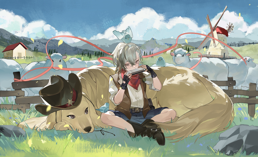 1boy absurdres animal animal_on_head asymmetrical_bangs belt belt_buckle bird bird_on_head black_gloves black_shorts blue_sky boothill_(honkai:_star_rail) boots brown_belt brown_boots brown_hat brown_jacket brown_shoes buckle cloud cowboy_hat day dog eyelashes fence fingerless_gloves flower full_body gloves gradient_hair grass harmonica hat highres holding holding_instrument honkai:_star_rail honkai_(series) house instrument jacket lamb looking_at_animal looking_to_the_side male_focus medium_hair mountain mountainous_horizon multicolored_hair music on_head outdoors parted_bangs playing_instrument purple_flower red_ribbon red_scarf ribbon rock scarf sheep shirt shoes shorts sitting sky sleeve_rolled_up solo sunlight tree white_hair white_shirt windmill wooden_fence ye_xing_caomei