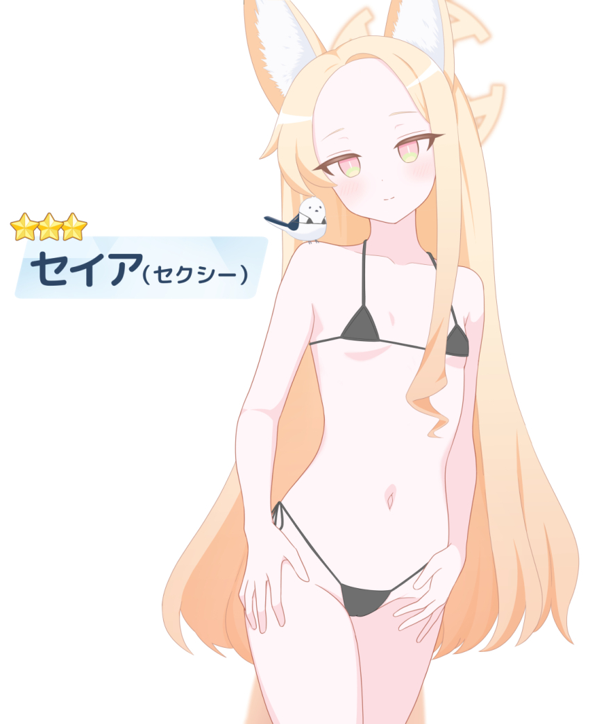 1girl alternate_costume animal animal_ear_fluff animal_ears animal_on_shoulder bare_arms bare_shoulders bikini bird bird_on_shoulder black_bikini blonde_hair blue_archive blush breasts bright_pupils character_name closed_mouth collarbone commentary_request cowboy_shot cross_halo forehead fox_ears fox_girl gacha_(game_mechanic) groin halo halterneck hands_on_own_hips head_tilt highres ikurage_(namakurage_13) long_hair looking_at_viewer micro_bikini navel orange_eyes parted_bangs seia_(blue_archive) side-tie_bikini_bottom simple_background single_sidelock slit_pupils small_breasts smile solo split_mouth star_(symbol) stomach straight_hair swimsuit translated tsurime underboob very_long_hair white_background white_bird white_pupils yellow_halo