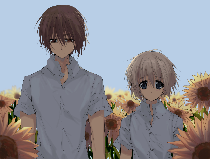 2boys absurdres arms_at_sides blue_eyes blue_sky brown_eyes brown_hair buttons closed_mouth collared_shirt day dress_shirt expressionless field flower flower_field hair_between_eyes height_difference highres kasukasugom1 kusanagi_naoya looking_at_viewer looking_down multiple_boys natsume_kei_(sakura_no_uta) outdoors parted_lips sakura_no_toki sakura_no_uta shadow shirt short_hair short_sleeves sky standing straight_hair sunflower sunflower_field upper_body white_hair white_shirt