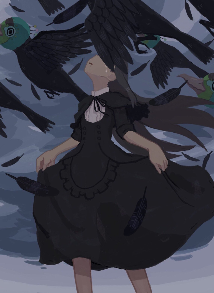 1girl akemi_homura akemi_homura_(black_dress) bird black_bird black_capelet black_dress black_feathers black_hair capelet cloud cloudy_sky collar covered_eyes cowboy_shot crying dark dress facing_up falling_feathers feathers grey_sky highres holding long_hair magi_katti magia_record:_mahou_shoujo_madoka_magica_gaiden mahou_shoujo_madoka_magica outdoors parted_lips skirt_hold sky solo standing two-handed white_collar wind