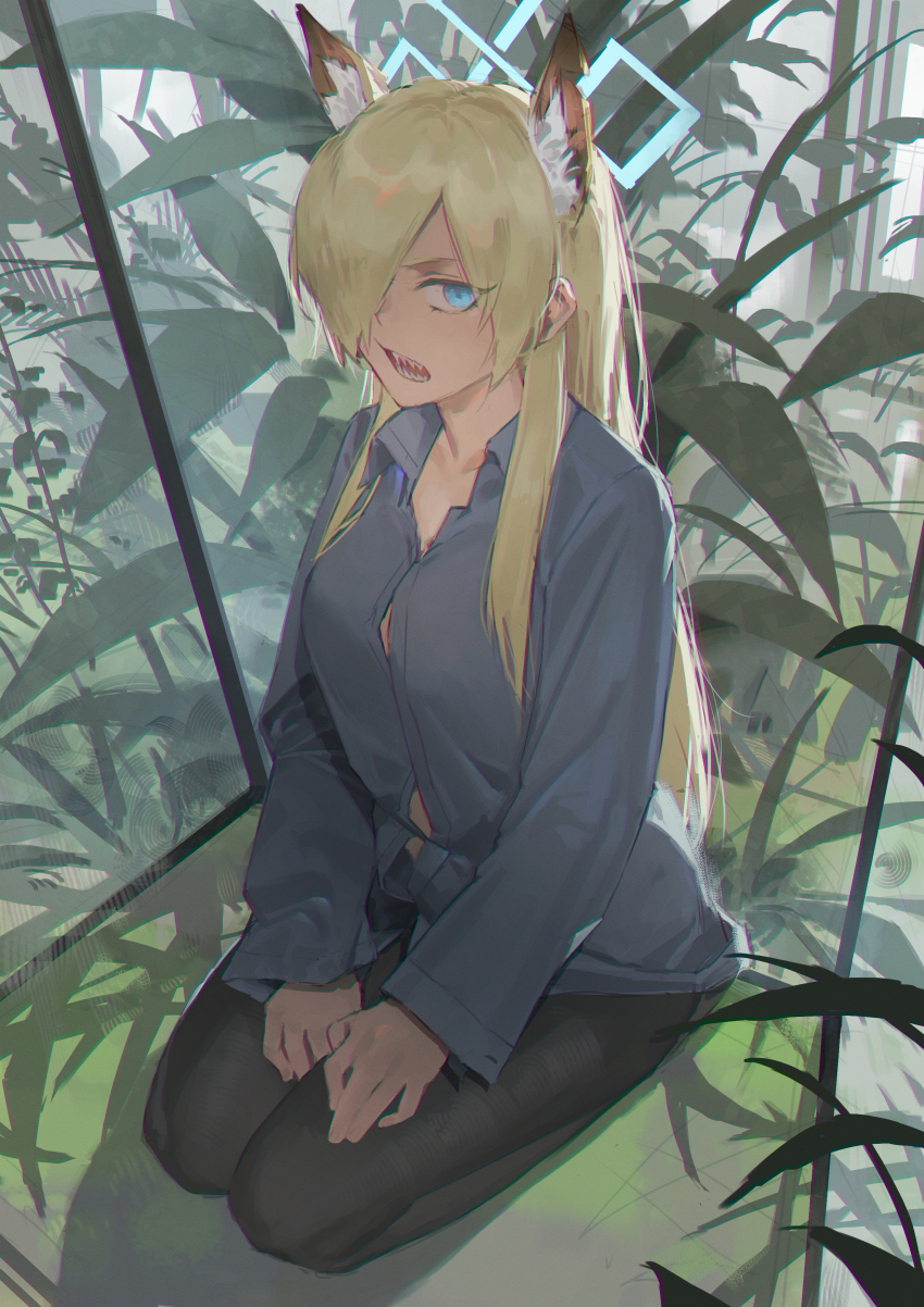 1girl absurdres animal_ear_fluff animal_ears blonde_hair blue_archive blue_eyes blue_halo collarbone collared_shirt danzir dog_ears extra_ears full_body hair_over_one_eye halo hands_on_lap highres kanna_(blue_archive) long_bangs long_hair long_sleeves looking_at_viewer notched_ear open_collar open_mouth pantyhose parted_bangs plant seiza sharp_teeth shirt sitting solo teeth