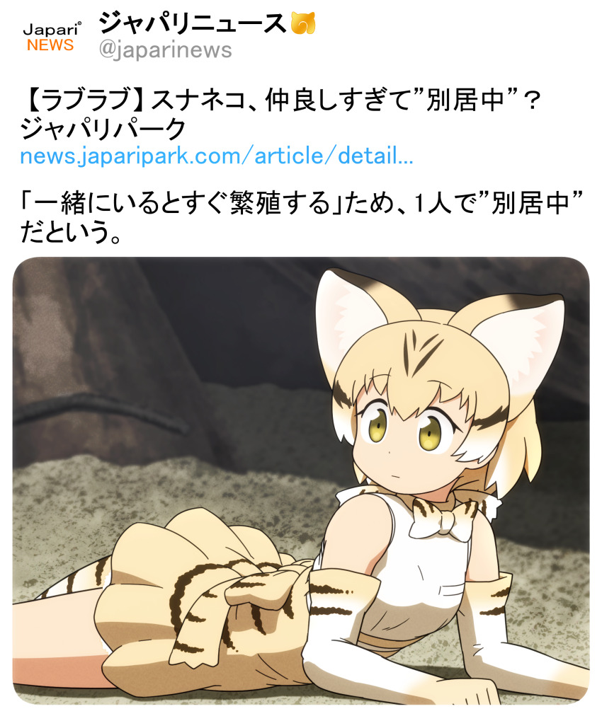 1girl animal_ears black_hair blonde_hair bow bowtie cat_ears cat_girl cat_tail closed_mouth commentary_request elbow_gloves gloves hair_between_eyes high-waist_skirt highres kemono_friends lying multicolored_hair on_stomach pleated_skirt sand_cat_(kemono_friends) shirosato shirt simple_background skirt sleeveless sleeveless_shirt solo striped_tail tail translation_request two-tone_hair white_background white_bow white_bowtie white_gloves white_hair white_shirt yahoo! yellow_eyes yellow_skirt