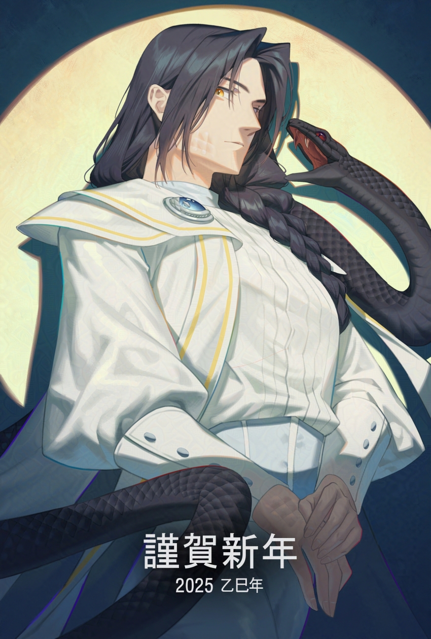 1boy 2025 absurdres alternate_costume black_hair braid chinese_zodiac closed_mouth frang_art highres korean_commentary lan_wangji long_hair looking_at_viewer male_focus modao_zushi own_hands_together pants robe sash scales shadow shirt single_braid snake snake_on_shoulder solo white_pants white_robe white_shirt year_of_the_snake yellow_eyes