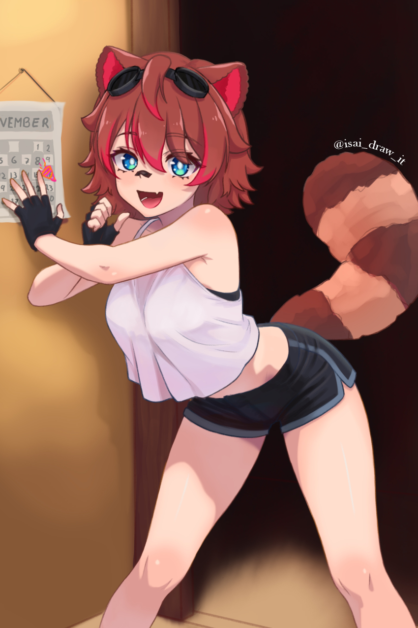 1girl :d animal_ears armpit_crease bandaid bandaid_on_face bandaid_on_nose bare_shoulders birthday black_bra black_gloves black_shorts blue_eyes bra bright_pupils brown_hair calendar_(object) camisole commentary dolphin_shorts eyes_visible_through_hair fang fingerless_gloves gloves goggles goggles_on_head hand_on_wall highres indie_virtual_youtuber indoors isai_salazar leaning_forward legs legs_apart looking_at_viewer midriff multicolored_hair november open_mouth party_popper pointing pointing_at_self raccoon_ears raccoon_girl raccoon_tail rakkun_sutaru red_hair short_hair short_shorts shorts skin_fang smile solo spanish_commentary standing tail twitter_username two-tone_hair underwear virtual_youtuber white_camisole white_pupils