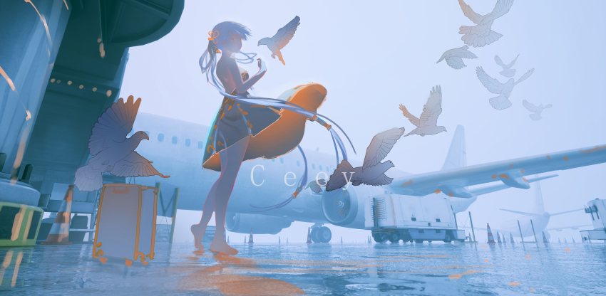 1girl aircraft airplane alternate_costume artist_name backless_dress backless_outfit barefoot bird black_dress breasts ceey commentary dress english_commentary highres jet_airliner jinhsi_(wuthering_waves) large_breasts long_hair outdoors rolling_suitcase solo standing suitcase traffic_cone trailer white_hair wuthering_waves