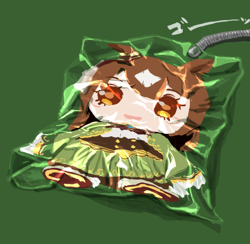 commentary_request doqute_stuffed_doll green_background highres juuen_sharin no_humans satono_diamond_(umamusume) simple_background stuffed_toy umamusume vacuum_bag vacuum_tube