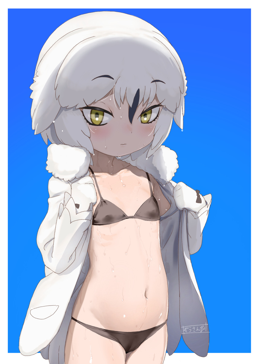 1girl absurdres bikini black_bikini black_hair character_request highres kemono_friends looking_at_viewer masuyama_ryou multicolored_hair navel solo swimsuit white_hair yellow_eyes