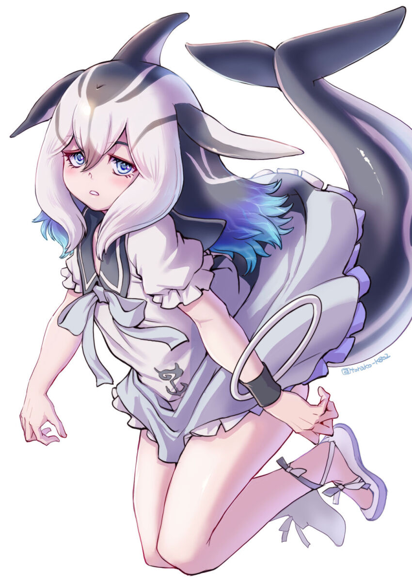 1girl ballet_slippers blowhole blue_eyes blue_hair blush bow bowtie cetacean_tail dolphin_girl dorsal_fin dress fins fish_tail footwear_ribbon frilled_dress frilled_sleeves frills full_body grey_bow grey_bowtie grey_dress grey_hair grey_shoes hair_between_eyes head_fins highres kemono_friends kosai_takayuki long_hair looking_at_viewer multicolored_hair multicolored_shoes pacific_white-sided_dolphin_(kemono_friends) puffy_short_sleeves puffy_sleeves sailor_collar sailor_shirt shirt shoes short_sleeves shorts sidelocks solo tail two-tone_dress two-tone_shoes white_dress white_hair white_shorts