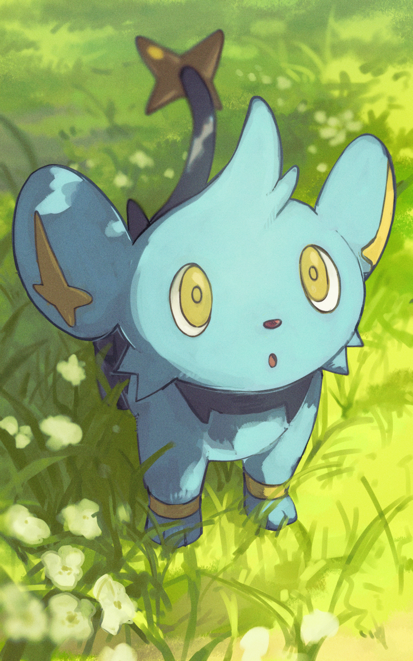 :o absurdres ako_(hoshiya_830) commentary day flower gen_4_pokemon grass highres looking_up nintendo no_humans outdoors pokemon pokemon_(creature) pokemon_focus shinx solo standing yellow_eyes yellow_pupils