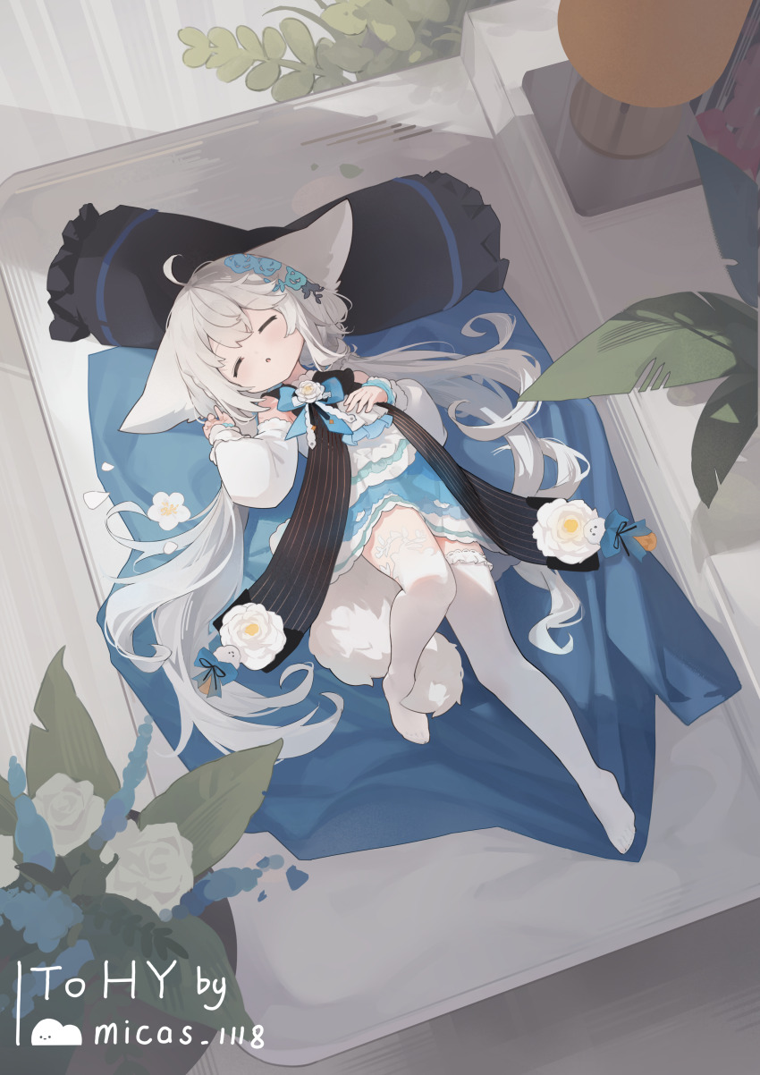 1girl :o absurdres ahoge animal_ears ascot black_sash blue_ascot blue_bow blue_bowtie blue_dress bow bowtie chinese_commentary closed_eyes commentary_request detached_sleeves dress fox_ears fox_girl fox_tail from_above full_body hand_on_own_chest hand_up head_on_pillow highres kasumi_1118 long_hair long_sleeves low_twintails lying no_shoes on_back open_mouth original pillow sakurada_shiro_(hy_plus) sash sleeping sleeveless sleeveless_dress solo tail thighhighs twintails two-tone_dress very_long_hair white_ascot white_dress white_hair white_sleeves white_thighhighs