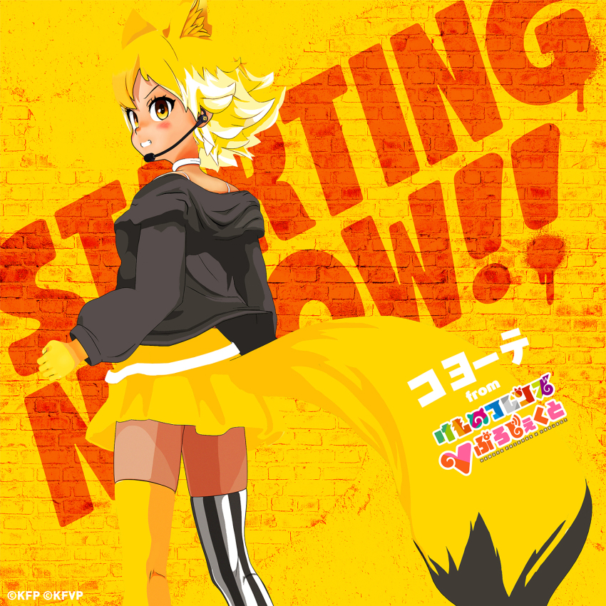 1girl album_cover animal_ears belt blonde_hair camisole copyright_name cover coyote_(kemono_friends) extra_ears gloves highres jacket kemono_friends kemono_friends_v_project looking_at_viewer looking_back microphone official_art short_hair simple_background skirt solo tail thighhighs virtual_youtuber wolf_ears wolf_girl wolf_tail yellow_background yellow_eyes