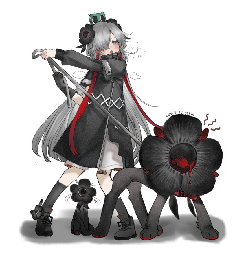 1girl bandaid bandaid_on_knee bandaid_on_leg black_flower black_shoes black_socks blush cat creature dated fingerless_gloves flower gloves gomidasu_(kamitsubaki_studio) grey_eyes grey_hair hair_flower hair_ornament hair_over_one_eye highres holding holding_leash isekaijoucho jacket kamitsubaki_studio kp3963 leash long_hair multicolored_hair open_mouth red_hair shoes simple_background single_glove socks standing sweatdrop two-tone_hair white_background