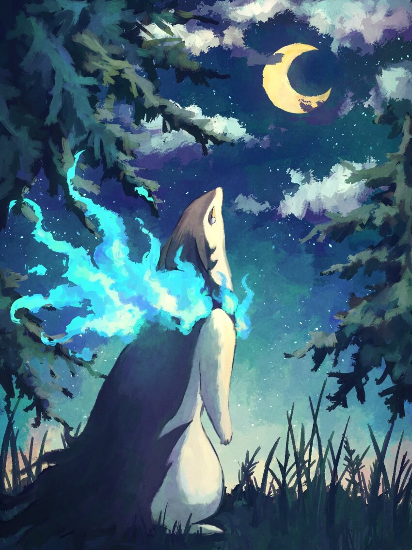 7_phi_3 alternate_color animal_focus blue_fire cloud commentary crescent_moon fire grass highres hisuian_typhlosion looking_up moon night night_sky nintendo no_humans pokemon pokemon_(creature) shiny_pokemon sky standing star_(sky) symbol-only_commentary