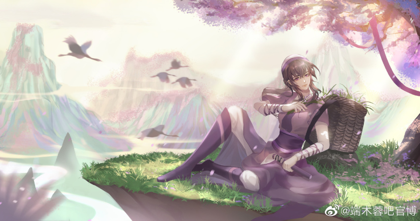1girl backpack_basket basket bird boots brown_hair chinese_clothes duanmu_rong_(qin_shi_ming_yue) full_body grass hairband highres mountain pants qinshi_mingyue sash sitting sky smile swan tree white_pants white_sky yi_nian_duanmu