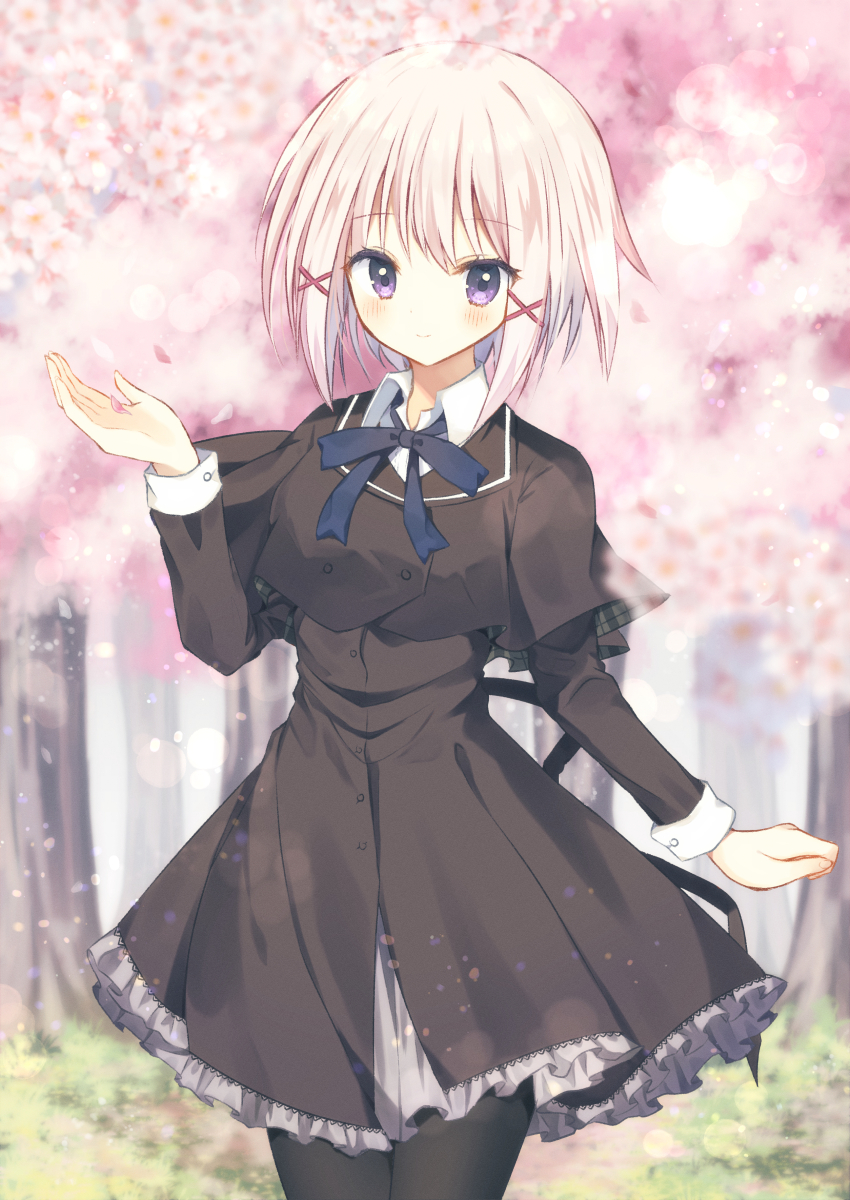 1girl absurdres aiyan black_capelet black_dress black_sleeves blue_ribbon blurry blurry_background capelet cherry_blossoms choppy_bangs collared_dress dress grass grey_skirt hair_between_eyes hair_ornament highres light_blush light_smile looking_at_viewer natsume_shizuku outdoors pantyhose pink_petals purple_eyes ribbon sakura_no_uta school_uniform short_hair skirt solo standing tree tsurime white_hair x_hair_ornament