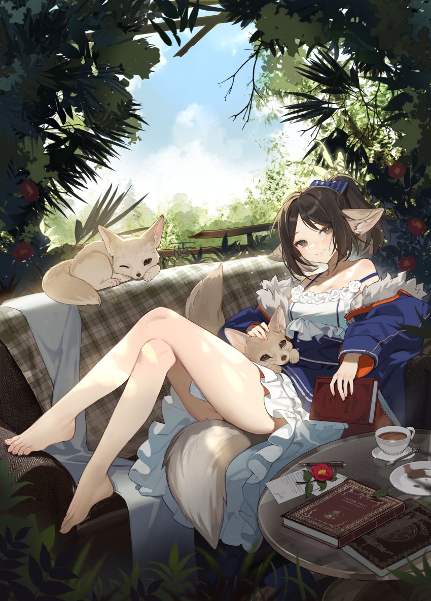 1girl absurdres animal_ears arknights bahao_diqiu bare_legs bare_shoulders barefoot blue_bow blue_dress blue_jacket blush book bow brown_eyes brown_hair closed_mouth couch crossed_legs cup day dress flower fox fox_ears fox_girl fox_tail frilled_dress frills full_body hair_bow highres holding holding_book jacket leaf long_sleeves looking_at_viewer off_shoulder on_couch open_clothes open_jacket perfumer_(arknights) petting plant ponytail red_flower saucer solo strap_slip tail teacup