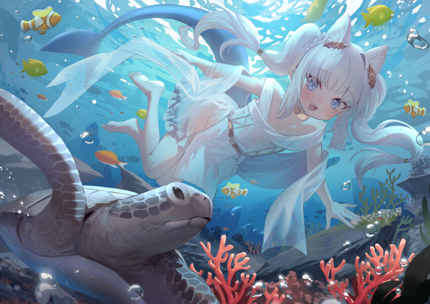 1girl animal_ear_fluff animal_ears barefoot blush cat_ears dress fins fish fish_tail fuyouchu gawr_gura highres hololive hololive_english long_hair looking_at_animal open_mouth sea_turtle shark_girl shark_tail sharp_teeth sidelocks solo tail teeth turtle twintails underwater white_dress white_hair