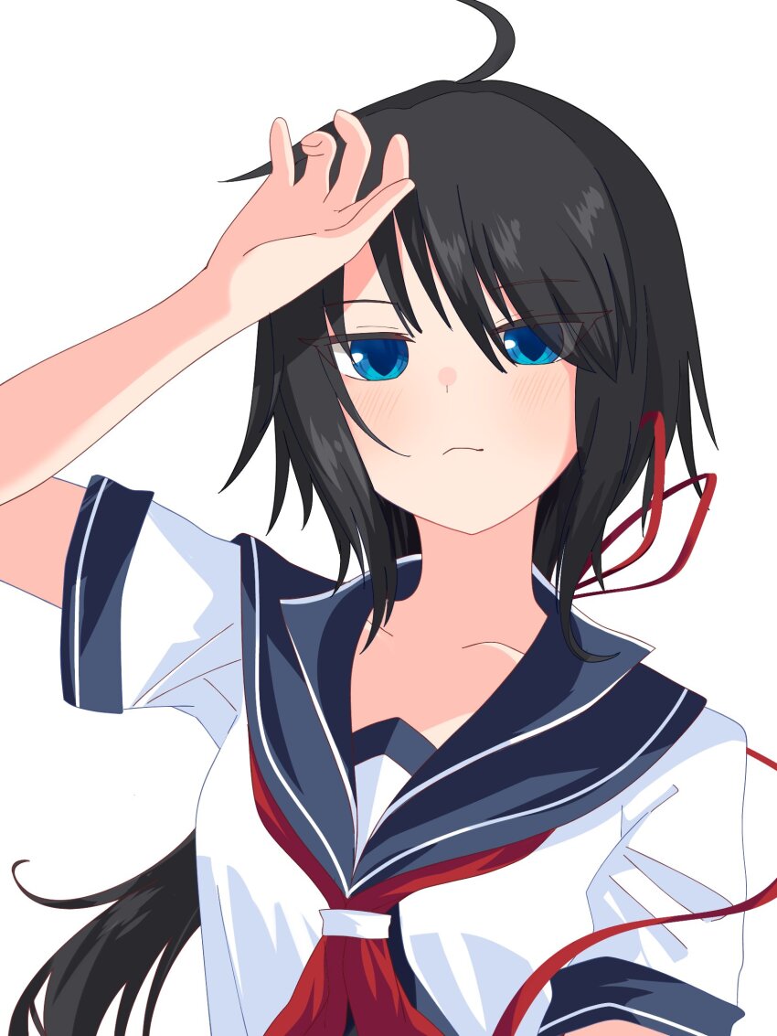 1girl ahoge black_hair blue_eyes blue_sailor_collar hamuhagi highres kako_(kancolle) kako_kai_ni_(kancolle) kantai_collection looking_at_viewer low_ponytail neckerchief ponytail red_neckerchief sailor_collar school_uniform serafuku shirt short_sleeves simple_background solo upper_body white_background white_shirt