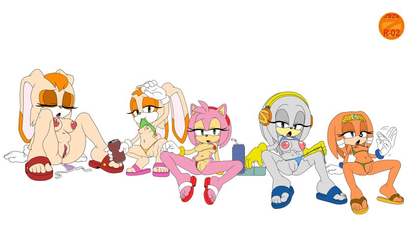 5girls absurdres amy_rose cream_the_rabbit highres loli multiple_girls nipples nude pussy sonic_(series) swimsuit tikal_the_echidna vanilla_the_rabbit zeta_r-02 zeta_the_echidna
