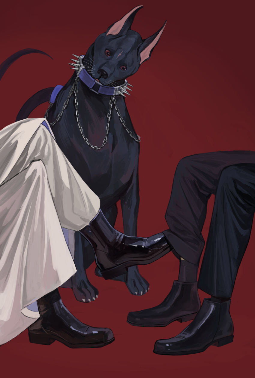2boys animal black_footwear black_fur black_pants black_socks chain chinese_commentary claws coat collar commentary_request dark_nation dog dress_shoes final_fantasy final_fantasy_vii final_fantasy_vii_rebirth final_fantasy_vii_remake head_tilt highres implied_yaoi male_focus multiple_boys pants pointy_ears red_background red_eyes rufus_shinra scar scar_on_face shou_rou simple_background sitting socks spiked_collar spikes tseng whiskers white_coat white_pants