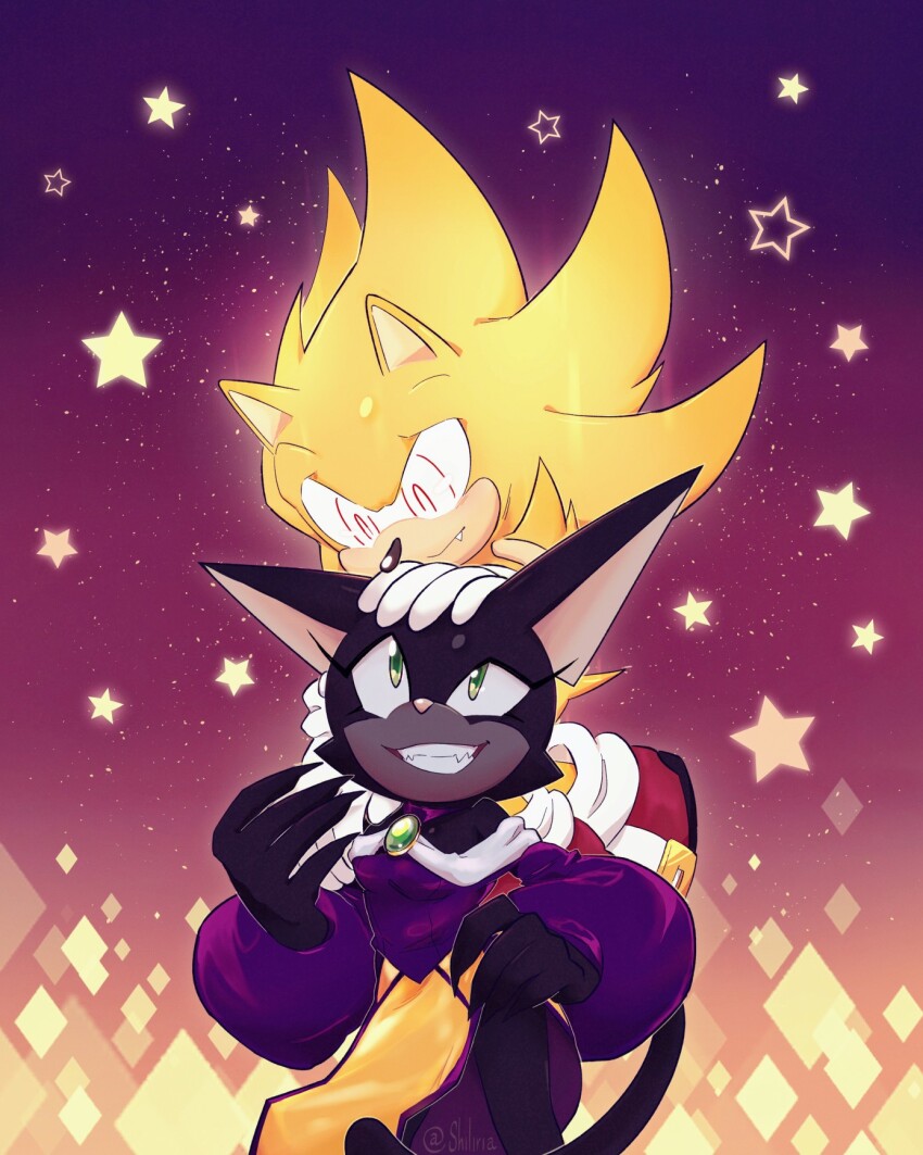 1boy 1girl animal_ears cat_ears cat_girl cat_tail claws couple diamond_(shape) dress ebony_the_mystic_mog fang fleetway_super_sonic gloves green_eyes highres long_dress looking_down looking_up purple_dress shiliria smile sonic_(series) sonic_the_comic sonic_the_hedgehog star_(symbol) super_sonic tail teeth white_gloves