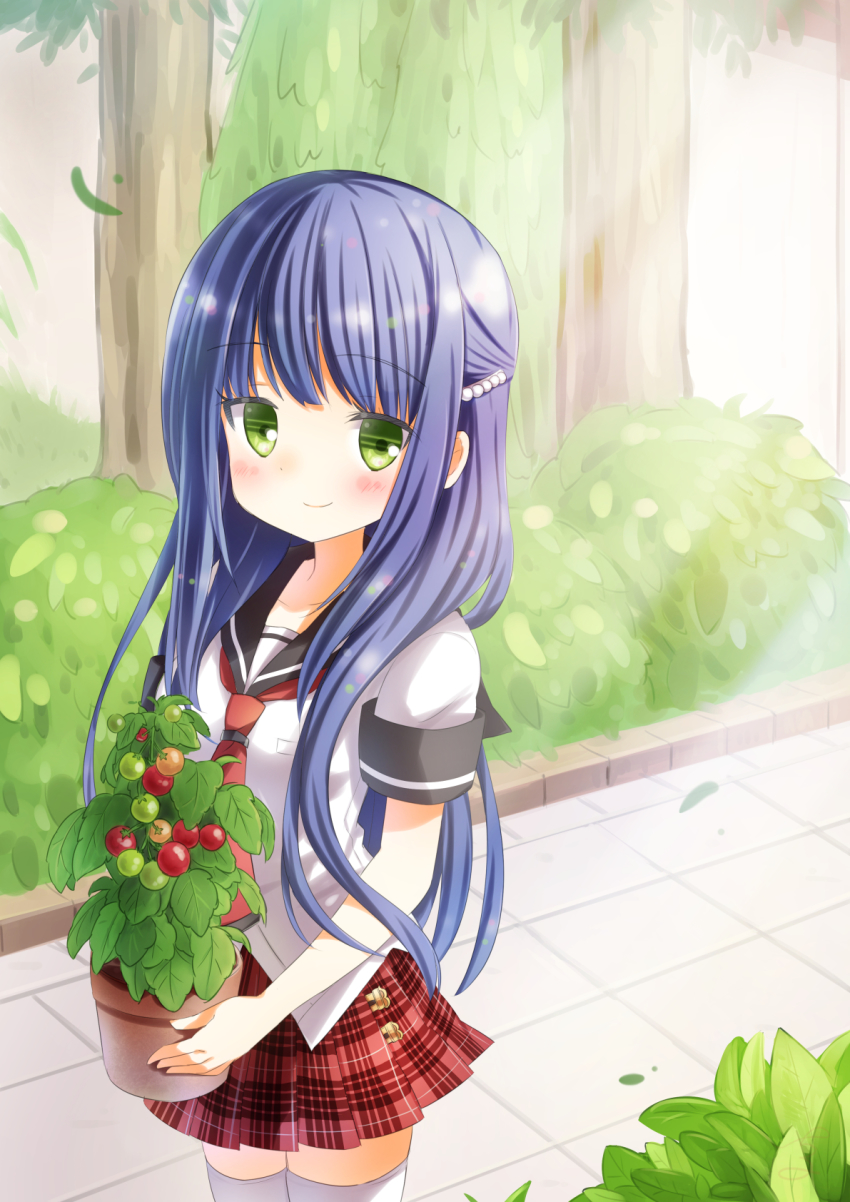 1girl anne_happy blue_hair blush day green_eyes hair_ornament hibarigaoka_ruri highres ichiyo12 indoors long_hair looking_at_viewer plaid_clothes plaid_skirt plant potted_plant red_skirt school_uniform short_sleeves skirt smile solo sunlight thighhighs white_thighhighs