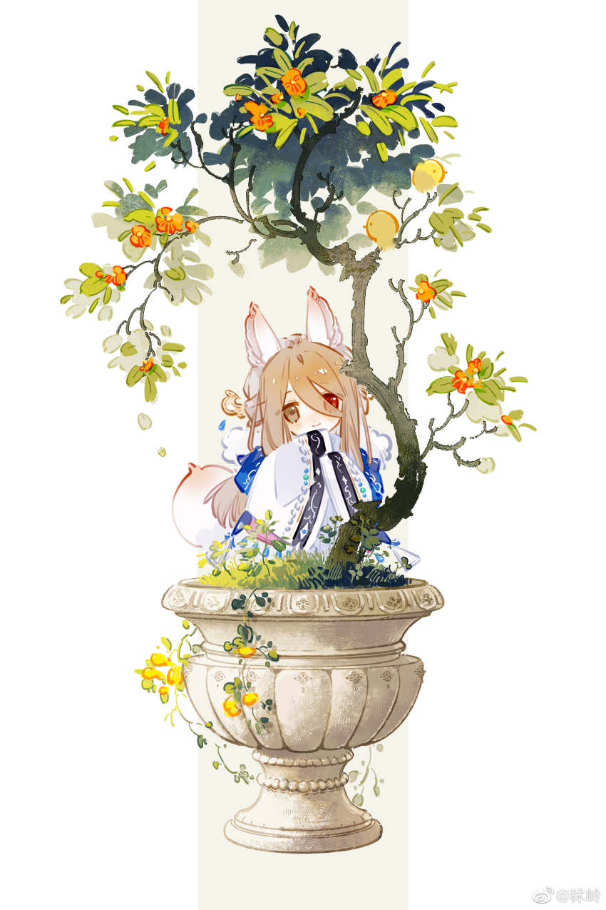 1boy absurdres animal_ears blonde_hair bonsai brown_eyes buddha&#039;s_temptation_(the_tale_of_food) chibi closed_mouth commentary_request flower fox_ears fox_tail hair_between_eyes heterochromia highres long_hair_between_eyes looking_at_viewer male_focus orange_flower red_eyes shuling solo tail the_tale_of_food watermark weibo_watermark wide_sleeves