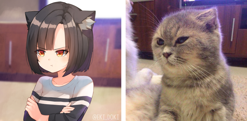 1girl animal_ear_fluff animal_ears black_hair black_shirt blunt_bangs blurry blurry_background cabinet cat cat_ears commentary crossed_arms eki_doki highres indoors instagram_username long_sleeves looking_away original personification photo-referenced photo_(medium) photo_background photo_inset pout red_eyes shirt short_hair television upper_body v-shaped_eyebrows white_shirt