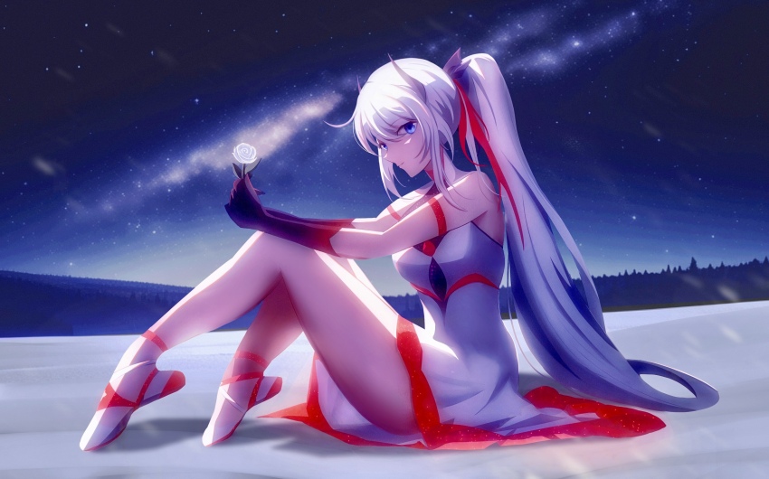 1girl absurdres bare_shoulders black_gloves blue_eyes closed_mouth commentary_request dress euzh266 flower from_side full_body gloves hair_between_eyes highres holding holding_flower honkai_(series) honkai_impact_3rd horns kiana_kaslana knees_up night night_sky outdoors ponytail rose shoes sitting sky sleeveless sleeveless_dress solo star_(sky) starry_sky white_dress white_flower white_hair white_rose white_shoes