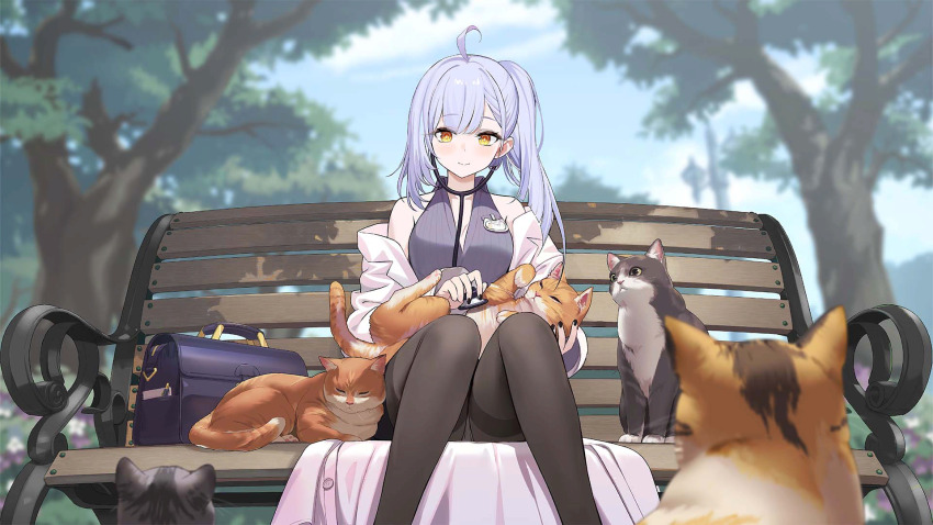1girl aged_up ahoge animal animal_on_lap artist_request azur_lane bag bare_shoulders bench black_pantyhose blue_sky blurry blurry_background blurry_foreground blush breasts calico cat choker cleavage closed_mouth cloud cloudy_sky coat collar collarbone collared_shirt day depth_of_field feet_out_of_frame grey_hair highres holding id_card lab_coat long_hair long_sleeves looking_at_viewer mole name_tag non-web_source oceana_(azur_lane) off_shoulder official_art on_bench on_lap open_clothes open_coat orange_eyes outdoors panties panties_under_pantyhose pantyhose pantyshot park park_bench petting ponytail purple_shirt shirt side_ponytail siren_(azur_lane) sitting sitting_on_bench skirt sky sleeveless sleeveless_shirt smile solo stethoscope thighband_pantyhose tree underwear white_coat white_panties yellow_eyes