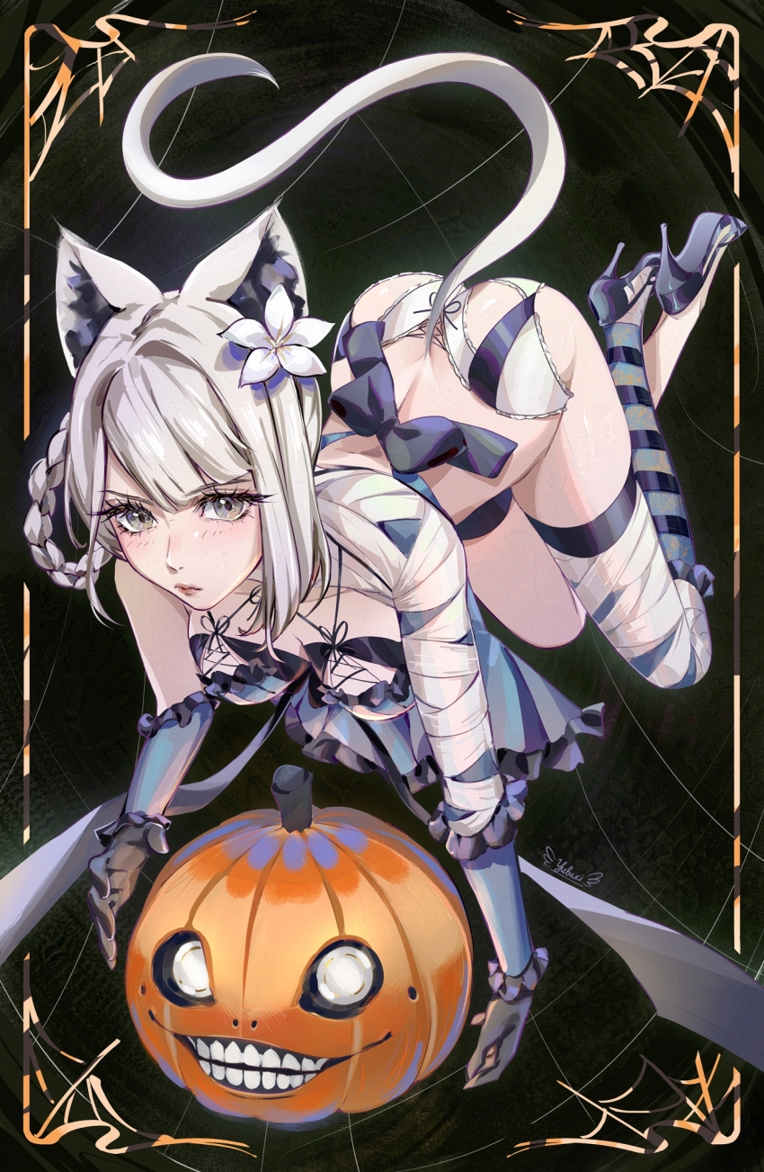 1girl animal_ear_fluff animal_ears ass bandaged_leg bandaged_neck bandages braid braided_hair_rings breasts cat_ears cat_tail cross-laced_clothes cross-laced_panties emil_(nier) flower frilled_gloves frills gloves grey_eyes grey_hair hair_flower hair_ornament hair_rings high_heels highres kaine_(nier) large_breasts lingerie long_eyelashes nier nier_(series) panties pumpkin solo tail underwear yubuki_i