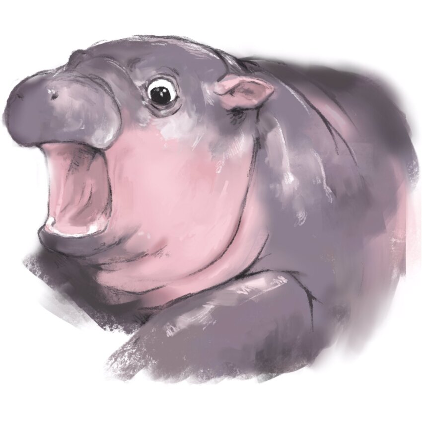 animal_focus black_eyes commentary english_commentary frankace highres hippopotamus looking_down moo_deng no_humans open_mouth portrait real_life simple_background white_background